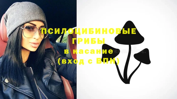 прущие крисы Костерёво