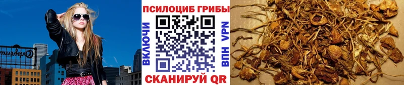 Галлюциногенные грибы мухоморы  Купить где  Каменногорск 